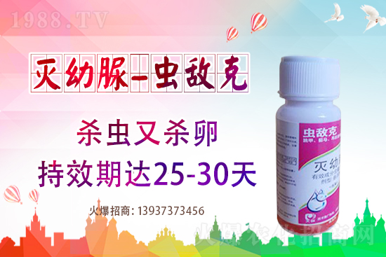 ���x(ch��ng)���r(ji��)��