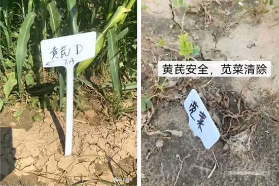 �α�2̖(h��o)¡�����У�����������ɳ��{�˵��S�γ��݄������ݸ��V����ȫ�棡