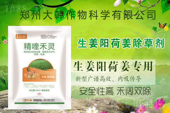 ��ꖺɽ���ô���������ش�ʲô���݄�����ꖺɽ����ݷ�����ע�����