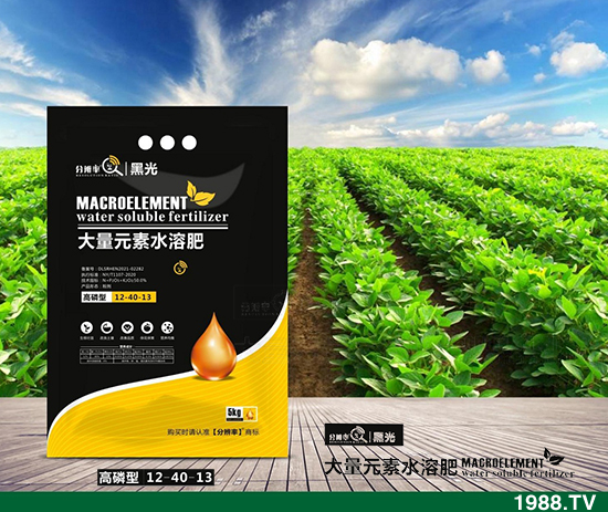 ����(w��n)�\����2021.12.31����������@�r��