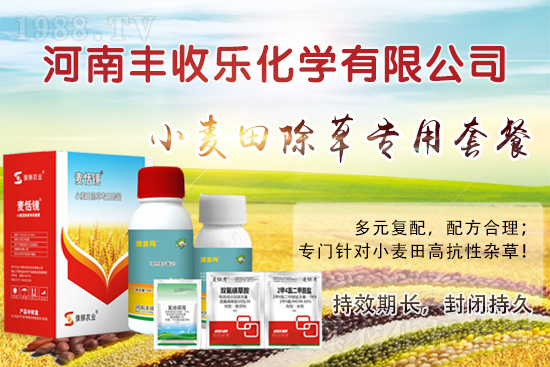 С�������ӳ��ݸ���ԓ��ô�x�ó��݄���