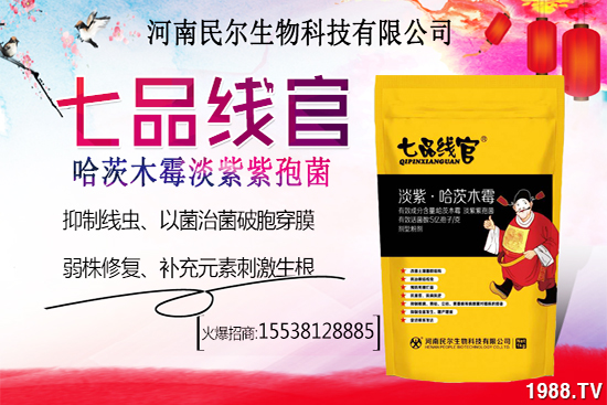 雪桃苗價(jià)格多少錢一株?雪桃種植前景怎樣?