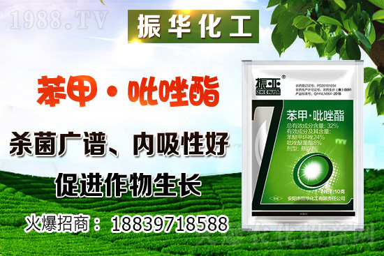 ���ԓ��ô�Nֲ������Nֲ�������h(hu��n)��Ҫ����