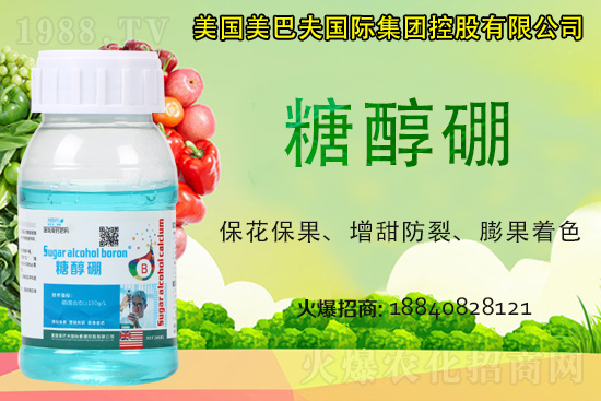 ���յ��ȶ����Xһ����2021�굾�ȃr���Ƿ�߀���q��