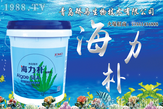 ѩ����r������Xһ�ã�2021��Nֲѩ����ٍ�X����