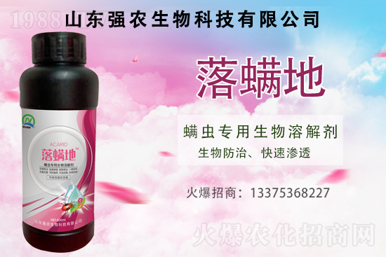 �t֩������֩�����S֩����ʲô�����C�Ϸ�����ô����