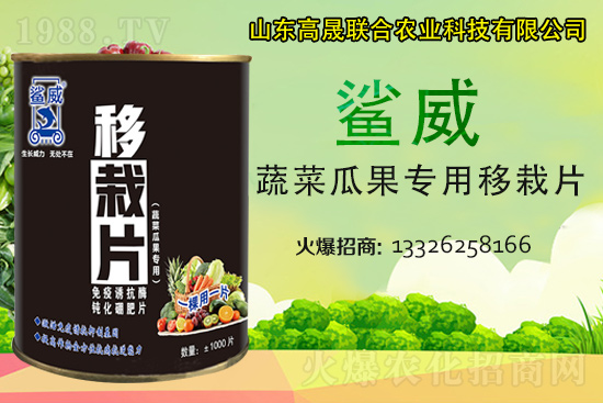 �����������������L������...���߲˶�ֲ�ؿ�