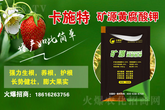 ���ջ����r������Xһ����2021��3��19�ջ����r������