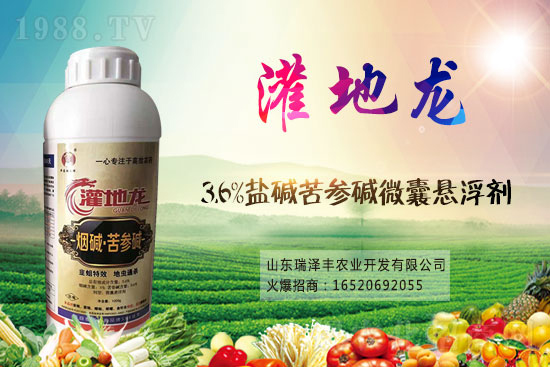 ���ռװ������S���ر������}���x(ch��ng)���r(ji��)������