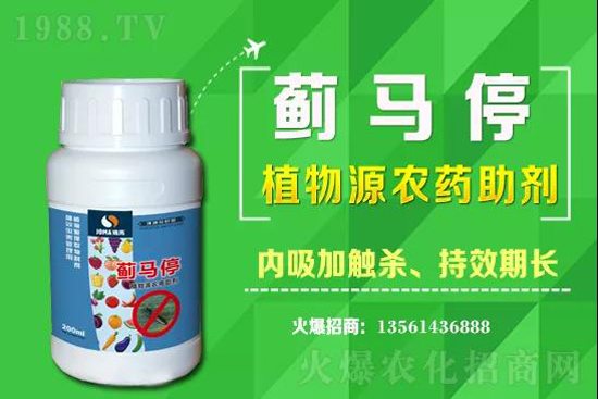 2021��3��5�ն����皢�x���r���߄�