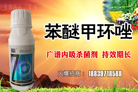 倒春寒風(fēng)險加大,如何做好冬小麥防護(hù)工作?