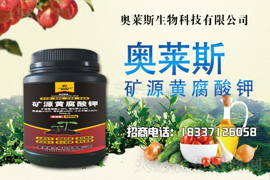 靈芝生產(chǎn)季節(jié)是什么時候?靈芝熟料段木仿生栽培技術(shù)!