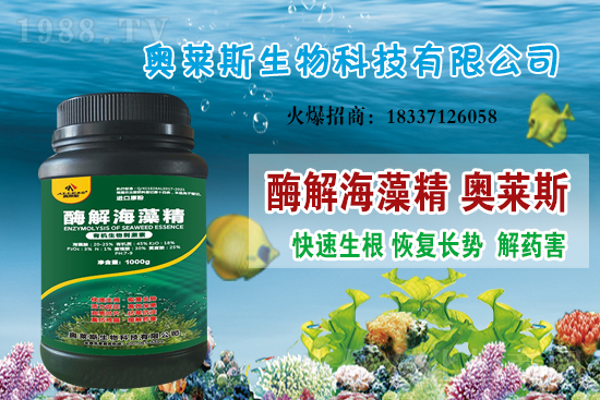 �󶹃r��߀���ϝq�������մ󶹃r������