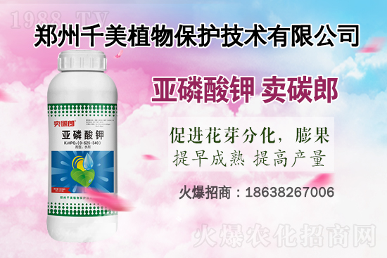 2021��ˮ����(x��)���ԗl�߲����ؼ��g(sh��)��Ҋ