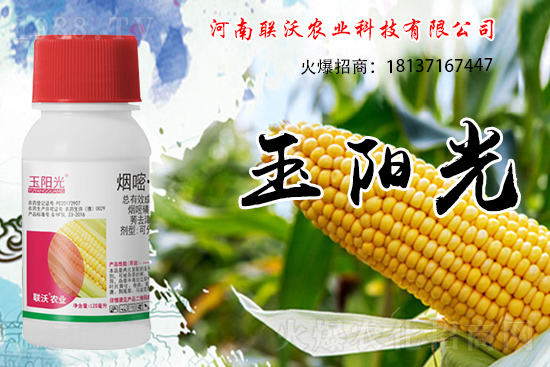 ���׳��ݞ�ʲô�x����������������݄���δ�