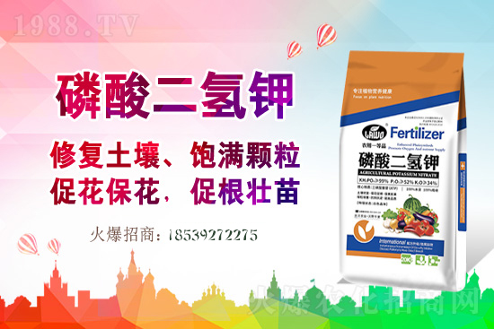 合作關(guān)系再升華!蘭沃農(nóng)業(yè)與1988.TV開啟新篇章!