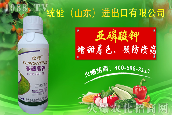 山東統(tǒng)能再簽1988.TV,攜手打造招商奇跡!