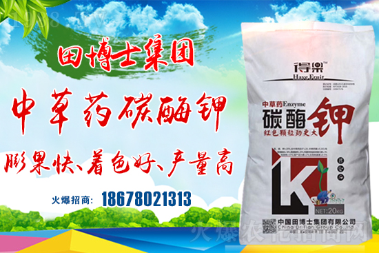 合作關(guān)系再升華!田博士集團(tuán)續(xù)約1988.TV,共謀合作新發(fā)展!