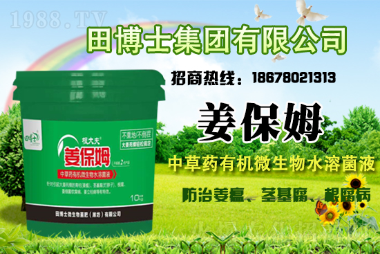 合作關(guān)系再升華!田博士集團(tuán)續(xù)約1988.TV,共謀合作新發(fā)展!