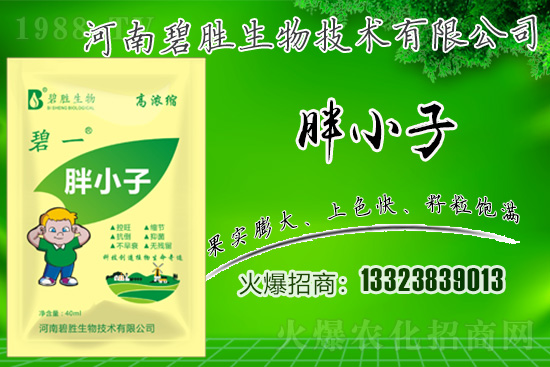 ���r(n��ng)���W(w��ng)ϲӭ���������y�ֱ̄����ﹲ��ؔ(c��i)��֮·��