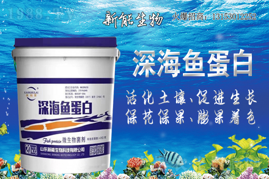 熱烈祝賀新能生物再簽1988.TV,開啟網(wǎng)絡招商新模式!