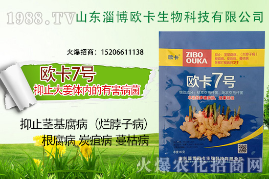 �W�������ٺ�1988.TV������(sh��)�F(xi��n)��I(y��)�v�w��(m��ng)��