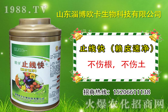 �W�������ٺ�1988.TV������(sh��)�F(xi��n)��I(y��)�v�w��(m��ng)��