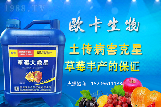 �W�������ٺ�1988.TV������(sh��)�F(xi��n)��I(y��)�v�w��(m��ng)��