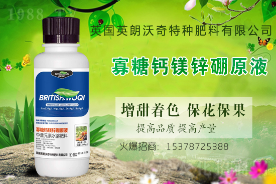 Ӣ������ɹ����s1988.TV���y�ֹ���(chu��ng)��(zh��n)����