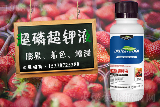 Ӣ������ɹ����s1988.TV���y�ֹ���(chu��ng)��(zh��n)����