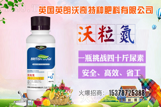 Ӣ������ɹ����s1988.TV���y�ֹ���(chu��ng)��(zh��n)����