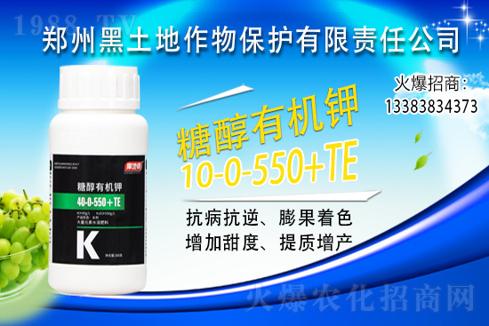 ⛷ʃr(ji��)���ϝq��2021��6��10��⛷ʃr(ji��)�������߄�(sh��)