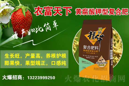 復合肥市場行情分析,2021年6月10日化肥行情走勢: