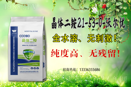 ���@�߃r(ji��)�����ڇ�(gu��)��(n��i)���@�r(ji��)��������?q��ng)?b��o)��6��15��