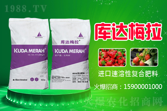 �t���ǏͺϷʶ����Xһ����2021.6.16���ʃr�������r