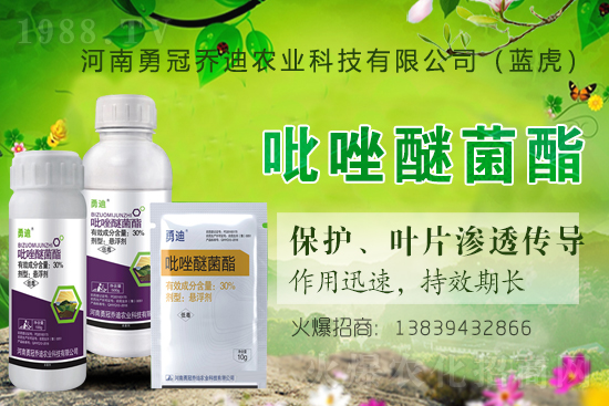 �����������¹چ̵ϣ��{(l��n)�����ٺ�1988.TV������(chu��ng)���x�ͣ�