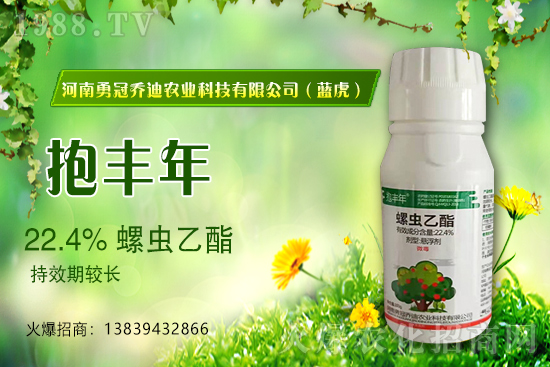 �����������¹چ̵ϣ��{(l��n)�����ٺ�1988.TV������(chu��ng)���x����