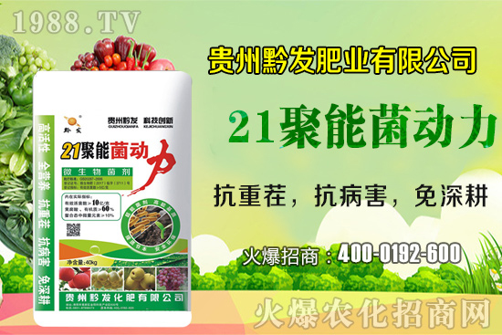 ǭ�l(f��)�ʘI(y��)�ٶȔy��1988.TV���y�ִ����������E��