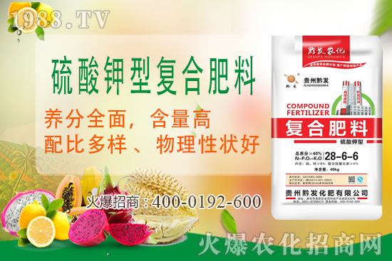 ǭ�l(f��)�ʘI(y��)�ٶȔy��1988.TV���y�ִ����������E��