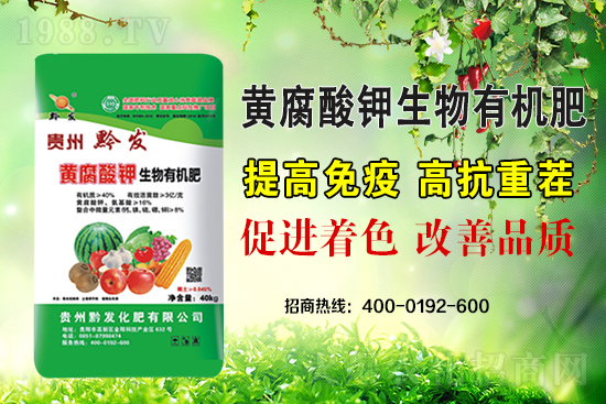 ǭ�l(f��)�ʘI(y��)�ٶȔy��1988.TV���y�ִ����������E��