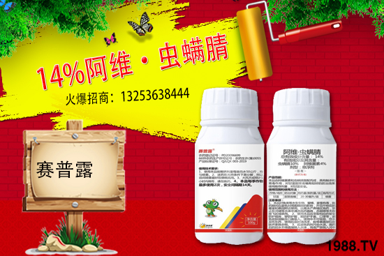 ِ��¶����𱬁�(l��i)�u���ٺ����r(n��ng)�����̾W(w��ng)�_(k��i)��(chu��ng)���x����