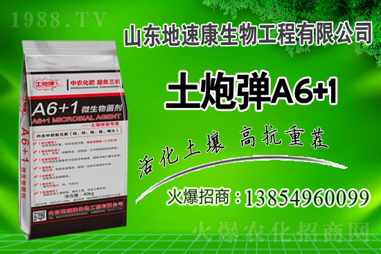    �����P(gu��n)ϵ�����A��ɽ�|���ٿ��c1988.TV�_����ƪ����