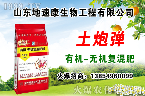    �����P(gu��n)ϵ�����A��ɽ�|���ٿ��c1988.TV�_����ƪ����