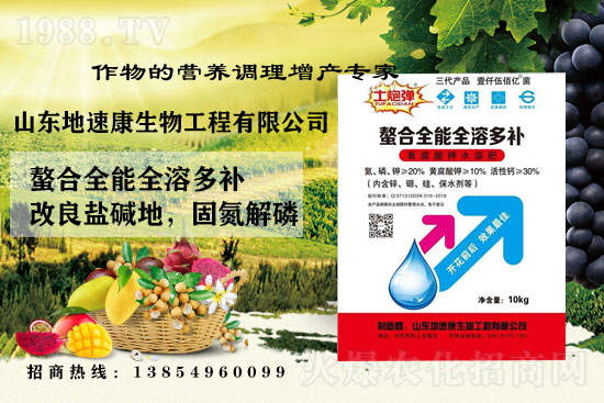    �����P(gu��n)ϵ�����A��ɽ�|���ٿ��c1988.TV�_����ƪ�£�