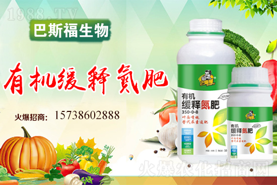 西紅柿畸形果是什么原因造成的?西紅柿畸形果怎么預防?