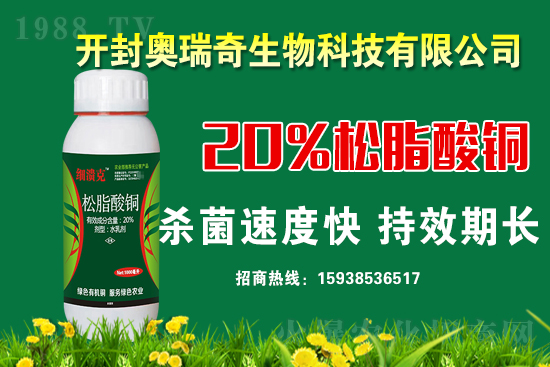 �W��������𱬁�(l��i)�u���y��1988.TV�_���W(w��ng)�j(lu��)���������̣�