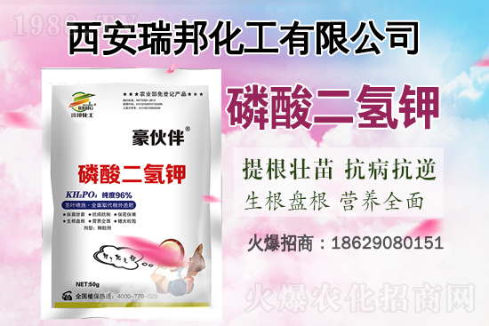 �q�����q����⛷ʃr���֝q�ˣ�����⛷ʃr�������߄ݣ�7��16�գ�