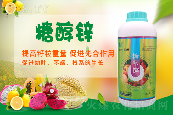 ����a�\�����Ǵ��\���Ǵ��\���ö�����Щ��