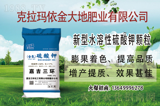 2021-7-24����(n��i)⛷ʃr(ji��)��������(b��o)