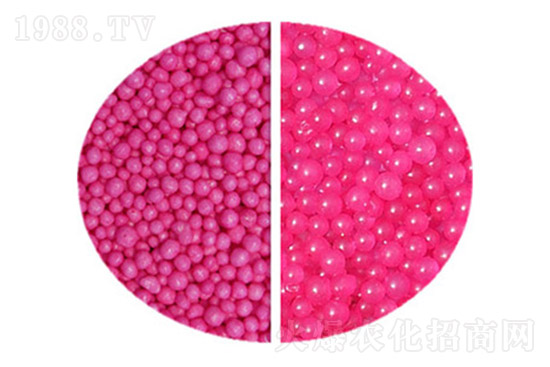 2021��7��24�ո������س��S��(b��o)�r(ji��)����